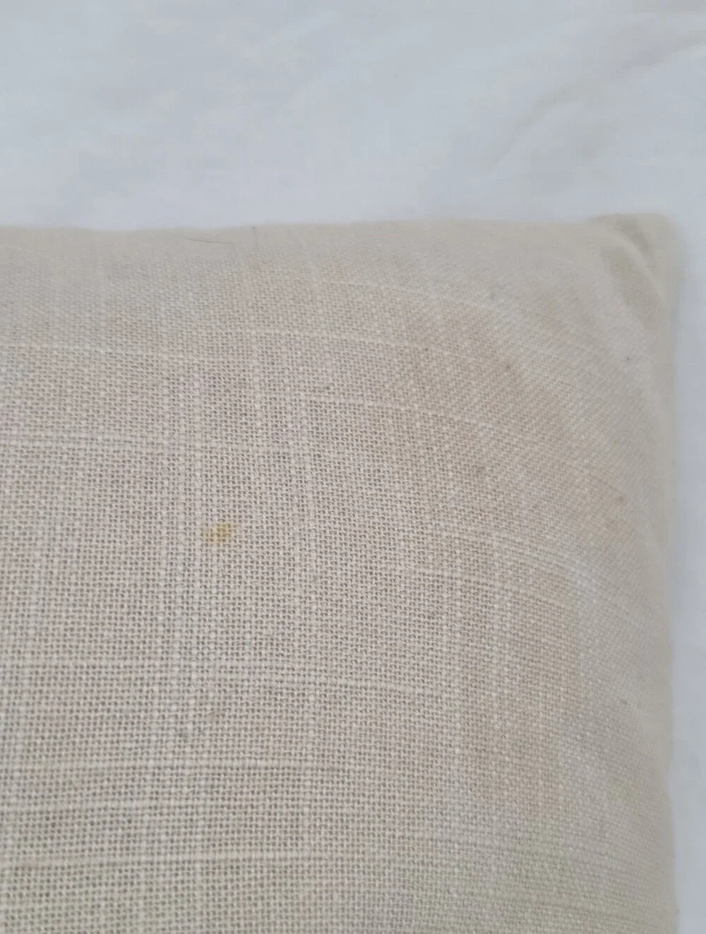 Magaschoni Home Gold and Cream Skull Print Pillow